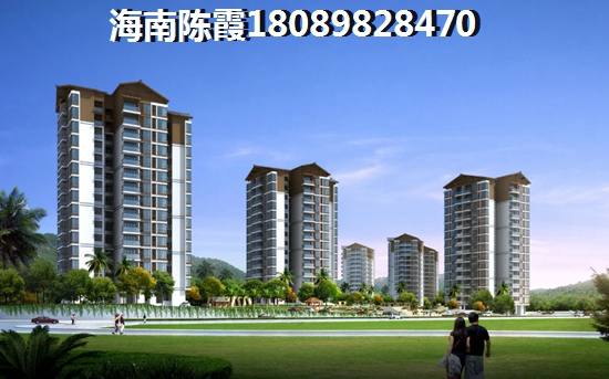 海南购房攻略省时又省心，小白也能轻松入手！